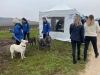 Chiens excités, départ fulgurant : le Canicross enflamme Beaune !  