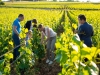 Entre Beaune et Meursault - Marie-France Bravard et ses ateliers offrent un pont entre vins et parfums