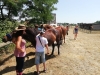 En Equi-libre Beaune - Balades et ateliers de travail en liberté avec le cheval en été