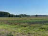 Irrigation des cultures surveillée pendant la sécheresse - Les efforts de la ferme Agri-Bio à Fenay reconnus par les services de la Préfecture