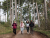 Rando des Climats 2025 - Explorez la Côte de Beaune à pied ou à VTT le dimanche 30 mars