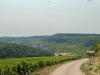 Grande vadrouille dans les vignes en side-car vintage avec Rétro Tour depuis Meursault ou Beaune