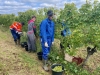 L'ESAT de Savigny-lès-Beaune à l'œuvre - Vendanges sous le signe de l'inclusion et de la tradition