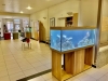 Aquarium Passion Service : Une solution de bien-être et de sérénité pour vos patients et résidents