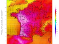 CANICULE - La Préfecture de Côte d'Or lance un appel à la vigilance sur le département 