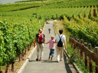 1re édition « Les rencontres à table ! » -  Balade gourmande au cœur des terroirs : départ enchanté d'Arcenant ce dimanche 2 juin