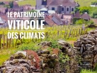 Beaune - Partagez votre regard sur le patrimoine viticole : candidatez à l’appel à photos de la Cité des Climats et vins de Bourgogne et de CotedorPix