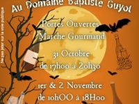 Beaune – HalloWine 2024 : Portes ouvertes au Domaine Baptiste Guyot du 31 octobre au 2 novembre !