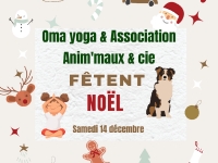 Beaune - Un Noël sous le signe de la complicité mêlant yoga et médiation animale