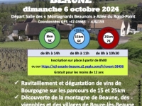 Beaune - 27e édition de la randonnée « Vignes et Sentiers » le dimanche 6 octobre