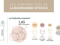 Chiffres clés des Vins de Bourgogne - Un poids lourd de l'export et du marché mondial