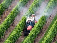 Vins de Bourgogne - Une mobilisation collective pour la neutralité carbone : la filière vitivinicole en route vers un avenir durable