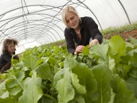 Région Bourgogne - Franche-Comté - La nouvelle Dotation Jeunes Agriculteurs (DJA) arrive !