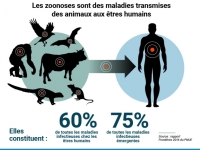 Recenser et prioriser les zoonoses - Une nouvelle étude lancée en Bourgogne-Franche-Comté