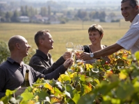 Balade entre vignes et vins à Beaune le samedi 22 juillet