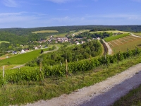 Les Kauseries de Bakus « Les visages des Hautes-Côtes », conférence à Villars-Fontaine jeudi 29 juin