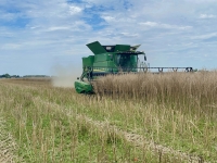 Résultats des élections des membres de la chambre départementale d’agriculture de Côte-d’Or 2025