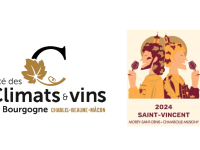 Un partenariat entre la Saint-Vincent Tournante 2024 et la Cité des Climats et vins de Bourgogne