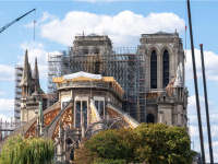 Des forêts de Bourgogne - Franche-Comté jusqu’à Notre-Dame