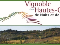 Carte des vins Cafés-Hôtels-Restaurants (CHR) - Bourgogne Hautes-Côtes de Beaune et de Nuits rouges en tête