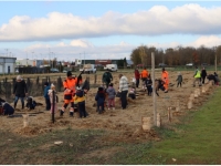 Les enfants de Chevigny plantent 400 nouveaux arbres dans la commune