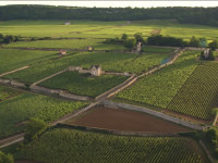 Cité des Climats de Beaune : mais qu’est-ce qu’un « climat » ?