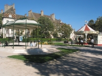 BEAUNE - Trois campagnes d'effarouchement des étourneaux prévues à l'aide de rapaces