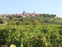 Daniel Moiron fait don de terres du vignoble de Vézelay aux Hospices Civils de Beaune