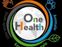 Hospices de Beaune - Appel à candidatures pour la 164e Vente des Vins au profit du concept "One Health"