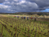 Rando des Climats 2025 - Explorez la Côte de Beaune à pied ou à VTT le dimanche 30 mars