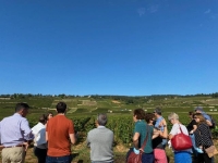 Dégustation et visite des Climats du vignoble de Beaune du 27 au 30 juin