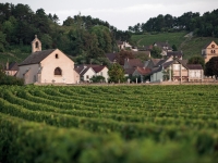 Déambulation à la découverte du village de Volnay le mercredi 28 juin