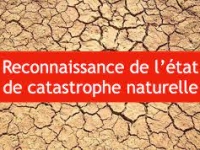 La commune de Dijon est retenue en état de catastrophe naturelle « sécheresse-réhydratation » pour la période du 1er janvier 2022 au 30 juin 2022