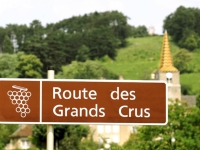 Conseil Départemental - Route des Grands Crus : un nouveau souffle pour un joyau bourguignon