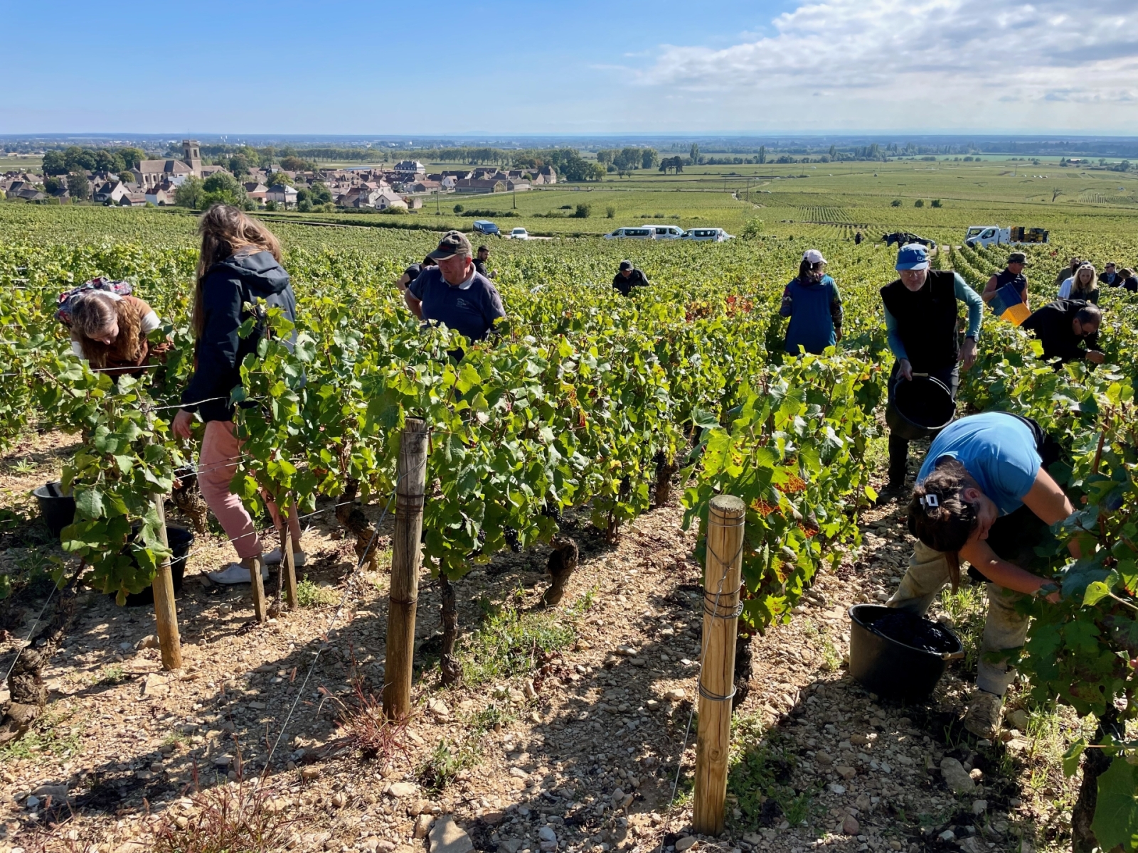 164e Vente Des Vins Des Hospices De Beaune - Un Millésime 2024 Marqué ...