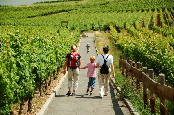 1re édition « Les rencontres à table ! » -  Balade gourmande au cœur des terroirs : départ enchanté d'Arcenant ce dimanche 2 juin