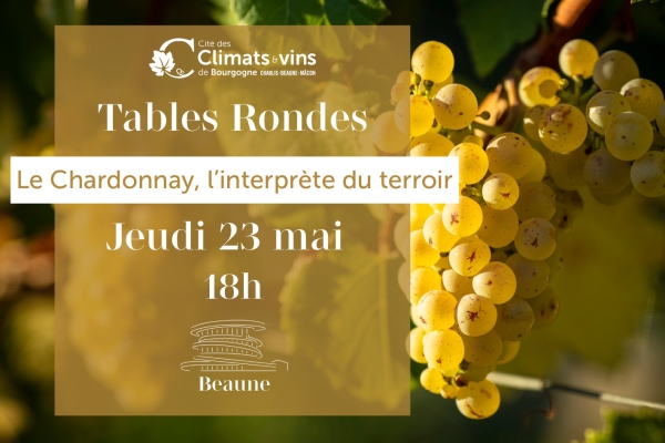 Beaune – Cité des Climats et Vins de Bourgogne : table ronde sur le Chardonnay le jeudi 23 mai