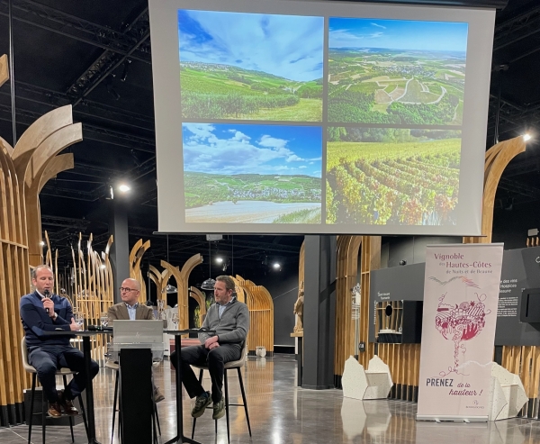 Les Hautes-Côtes : un vignoble d’avenir face au changement climatique