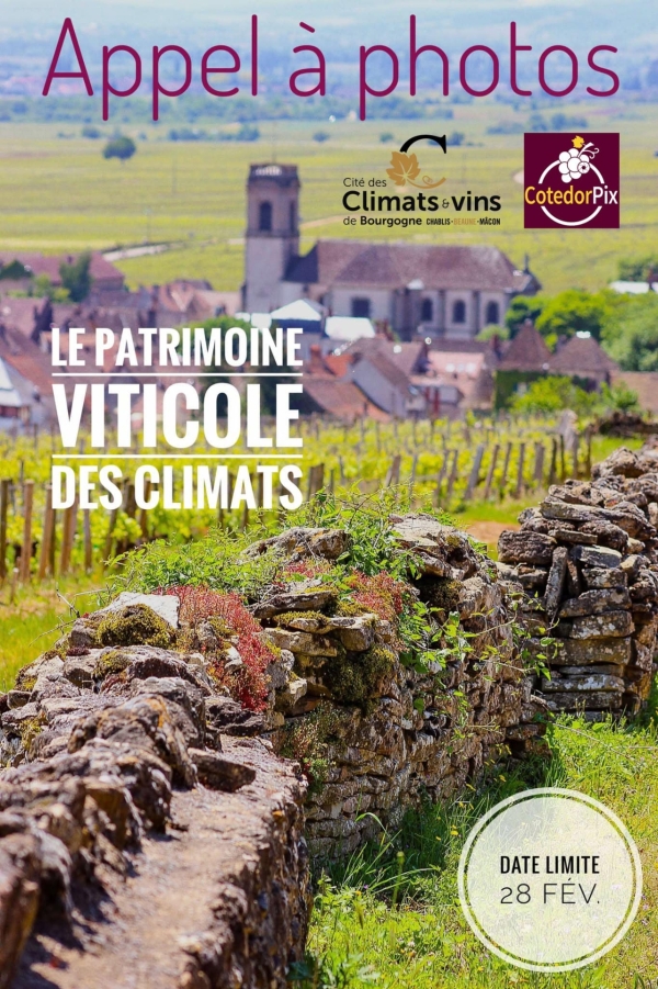 Beaune - Partagez votre regard sur le patrimoine viticole : candidatez à l’appel à photos de la Cité des Climats et vins de Bourgogne et de CotedorPix