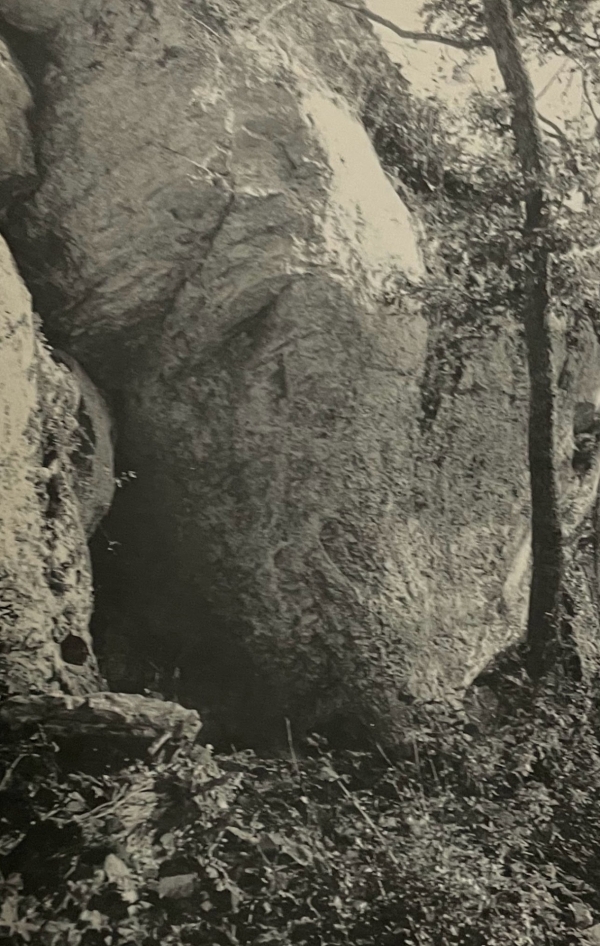 La découverte de la grotte de la Molle-Pierre cachée sous les plateaux calcaires des Hautes Côtes de Beaune