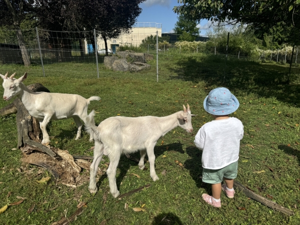 Beaune - Venez découvrir les animaux et la nature au parc de la Bouzaize en août