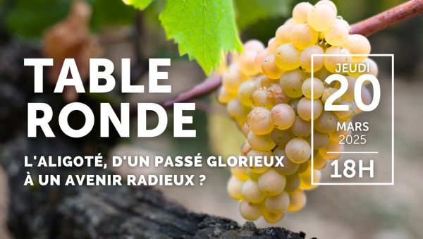 Beaune - L'Aligoté à l'honneur : nouvelle table ronde à la Cité des Climats et vins de Bourgogne ce jeudi 20 mars