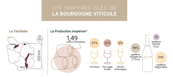 Chiffres clés des Vins de Bourgogne - Un poids lourd de l'export et du marché mondial