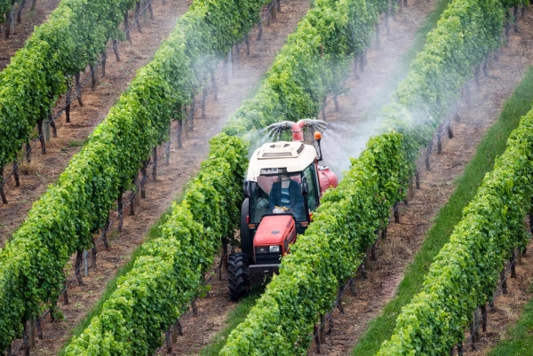 Vins de Bourgogne - Une mobilisation collective pour la neutralité carbone : la filière vitivinicole en route vers un avenir durable