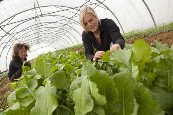 Région Bourgogne - Franche-Comté - La nouvelle Dotation Jeunes Agriculteurs (DJA) arrive !