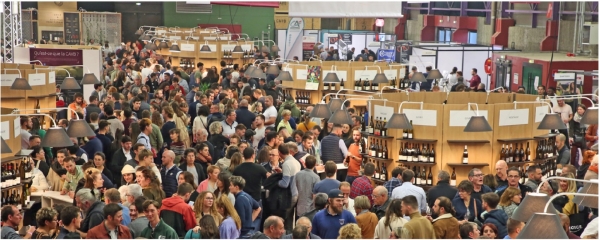 151e Fête des Grands Vins de Bourgogne : Un rendez-vous incontournable pour les amateurs de vin 