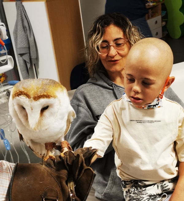 Les Chouettes du Cœur - Une envolée de douceur pour les enfants hospitalisés