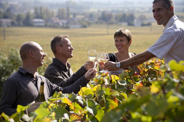 Balade entre vignes et vins à Beaune le samedi 22 juillet