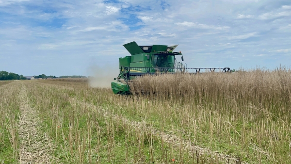 Résultats des élections des membres de la chambre départementale d’agriculture de Côte-d’Or 2025