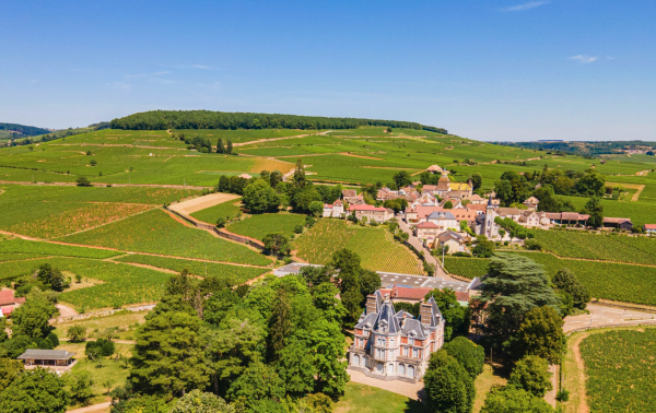 "Les joyaux de France finiront par appartenir au club des ultra-riches" : colère après le rachat mirobolant de vignes de Bourgogne par LVMH